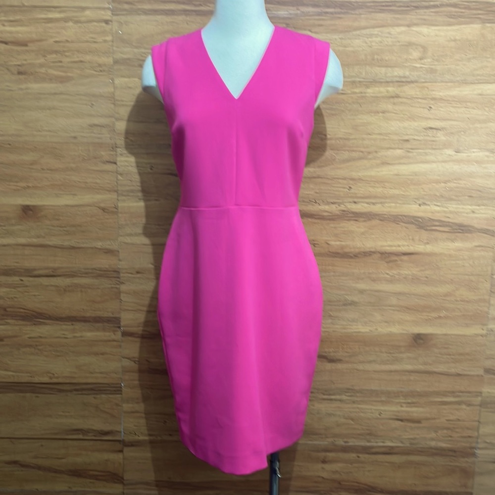 Banana Republic 6 Sleeveless Dress pink